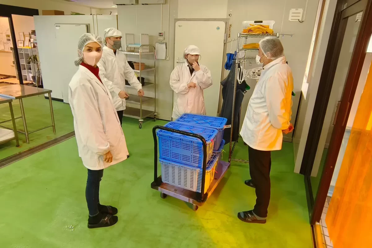 InterpanTrade_Company_1