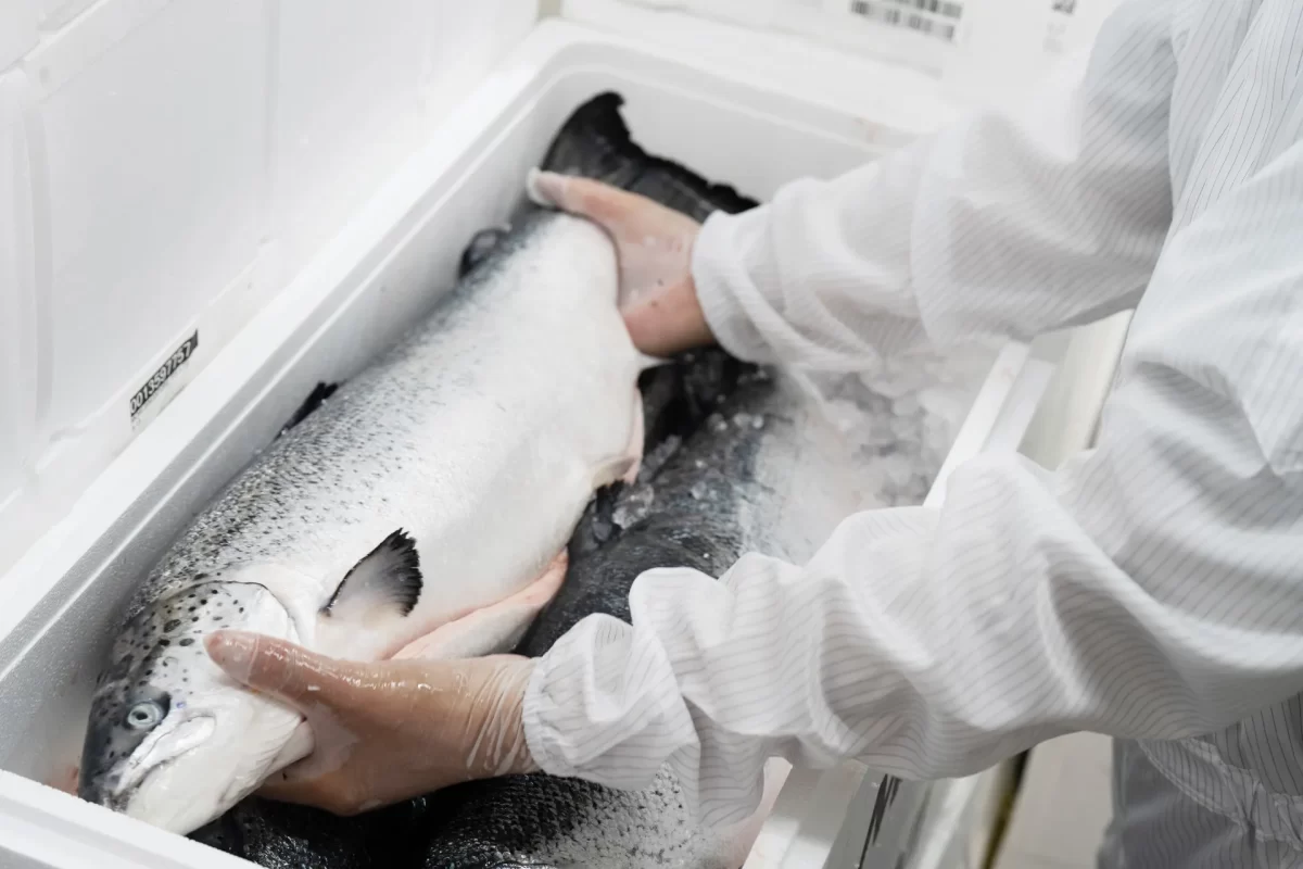 InterpanTrade_Company_11