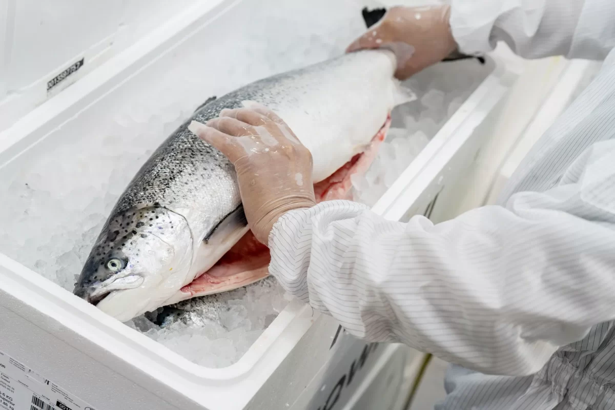 InterpanTrade_Company_12