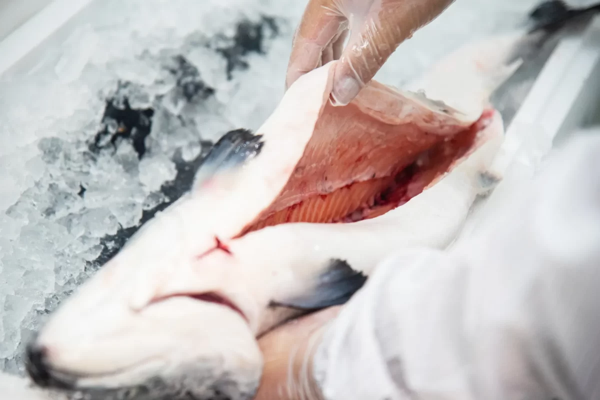 InterpanTrade_Company_13