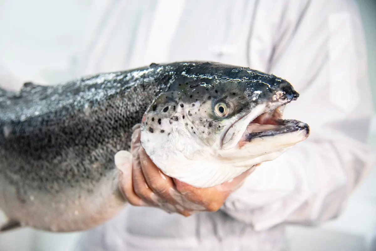 InterpanTrade_Company_14