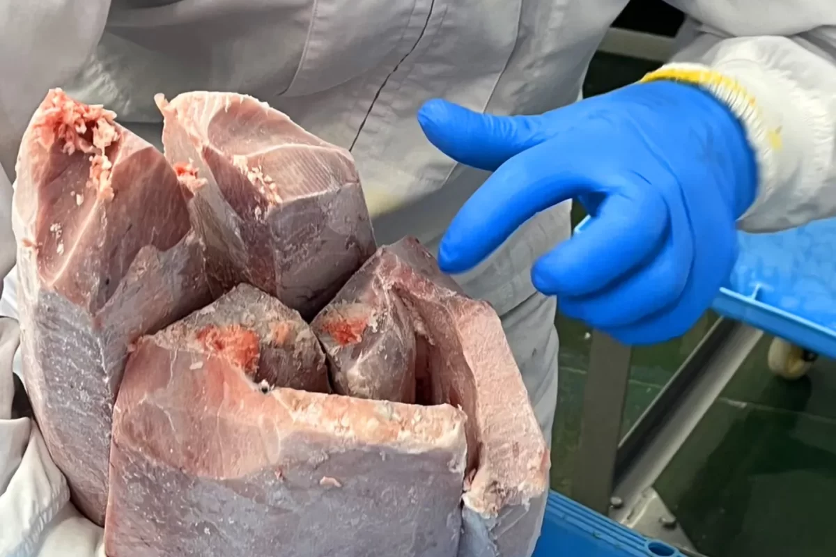 InterpanTrade_Company_16