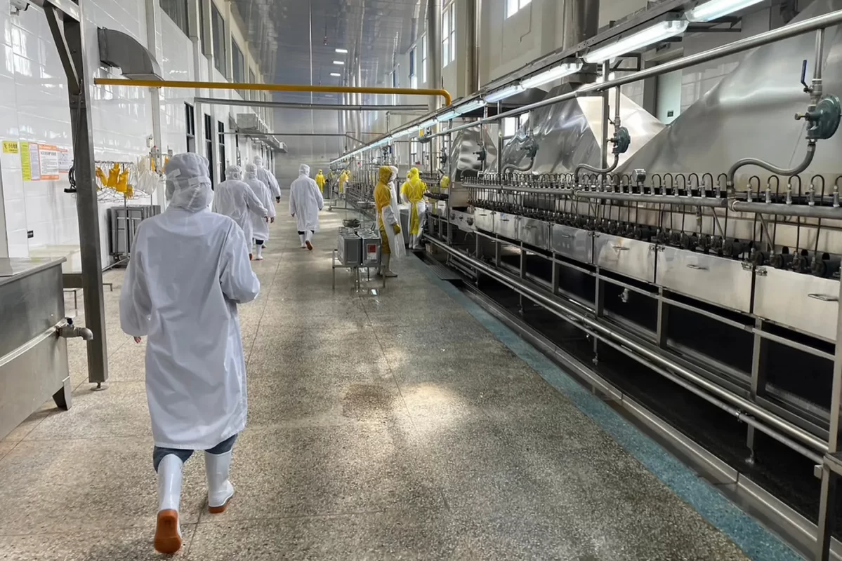 InterpanTrade_Company_2